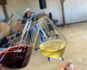 Wine Toasting at Hilmy Cellars